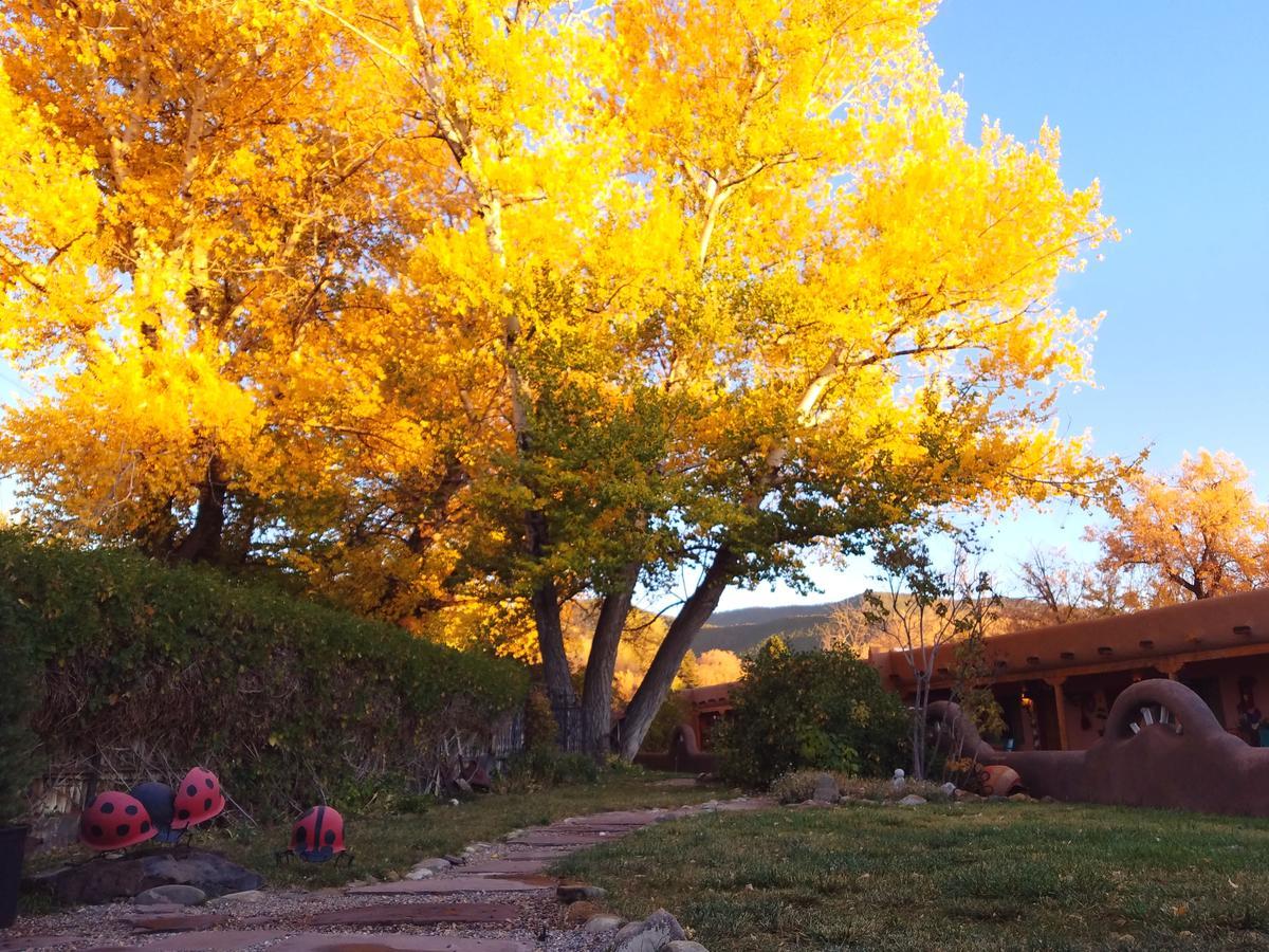 Inn On The Rio Taos Extérieur photo